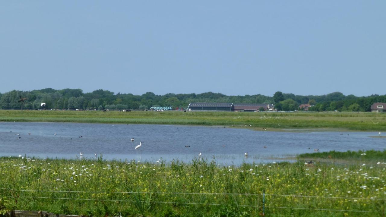 Vitamin Sea Heemskerk Bagian luar foto
